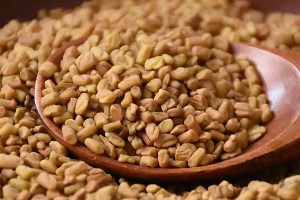 Does Fenugreek Increase Estrogen in Females?